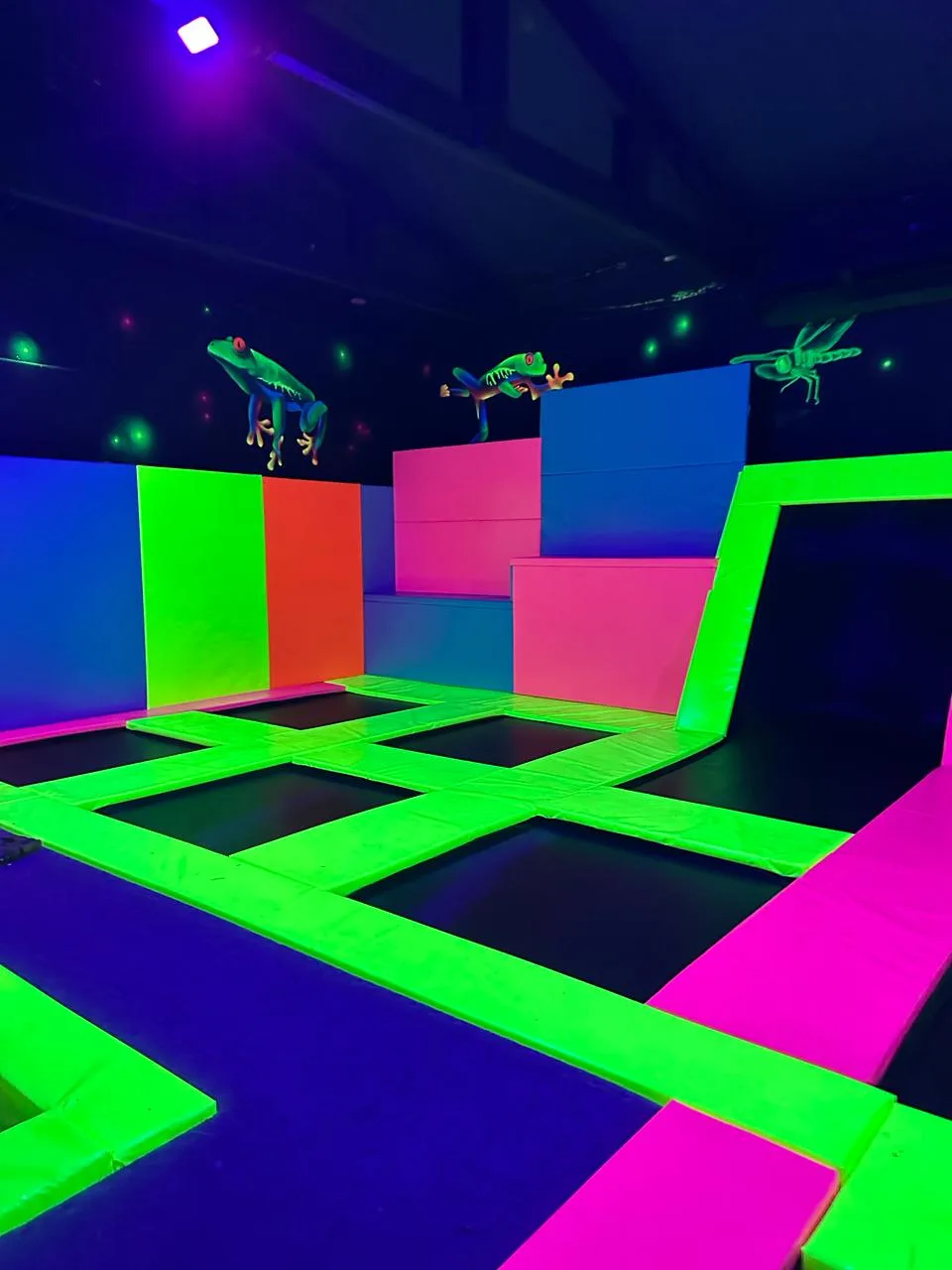 Arena de trampolins